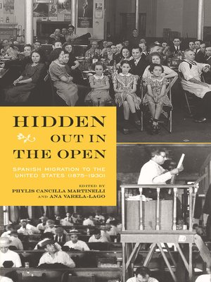 cover image of Hidden Out in the Open